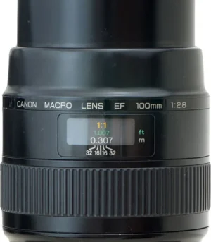 D_NQ_NP_2X_944696-MLB109934331283_042026-F[1]