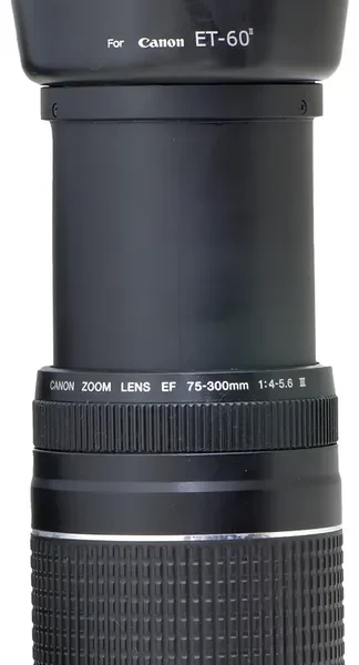 Objetiva Canon 75-300mm Af Versão Iii + Filtro De Proteção (Usado)