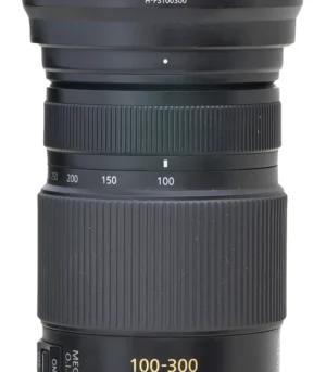 D_NQ_NP_2X_743376-MLB120331609719_102026-F-panasonic-zoom-100300mm-40-g-vario-mega-ois-micro-43[1]