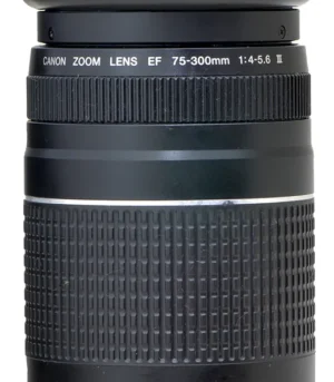 D_NQ_NP_2X_956149-MLB118223434492_102026-F-objetiva-canon-75300mm-af-versao-iii--filtro-de-protecao[1]