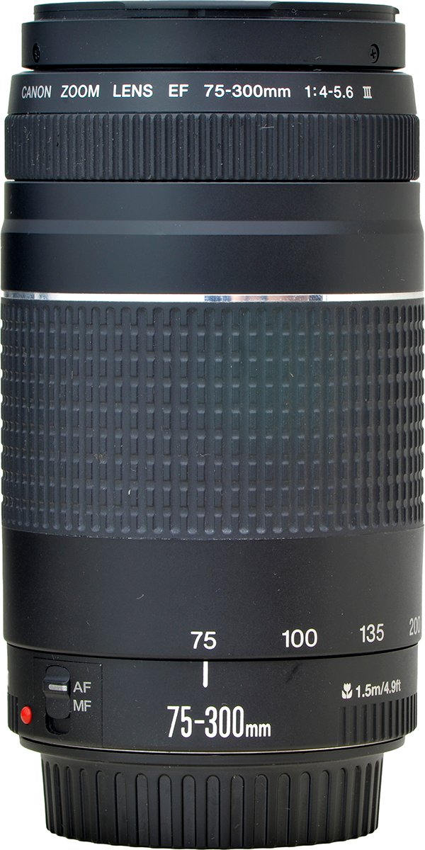 _FSA6504